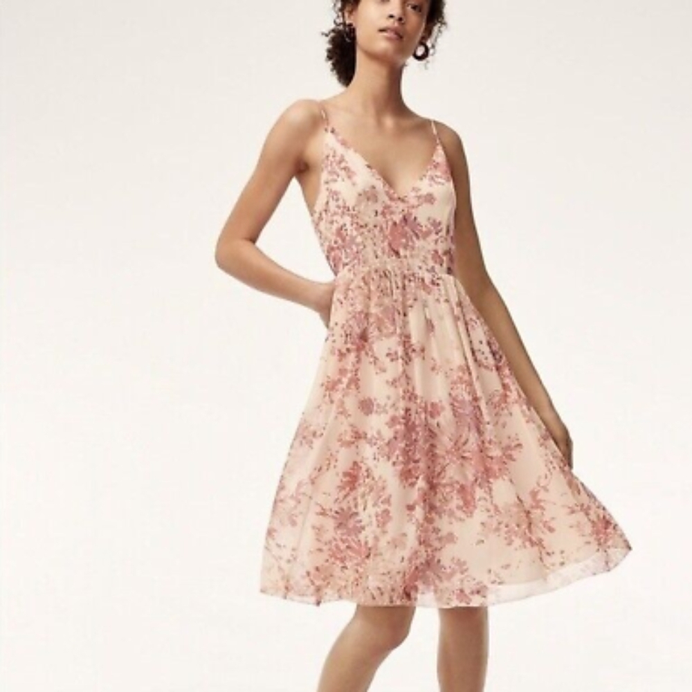 Aritzia Sakura dress